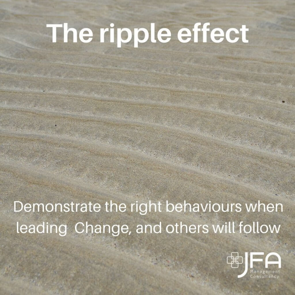 The Ripple Effect - JFA, Jane Fisher Associates, Management Consultants, Leadership & Managing Change