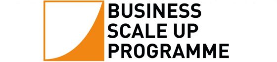 Business Scale Up Development Programme - Jane Fisher Management Consultancy, Leadership, Change Management, York, Newcastle, UK