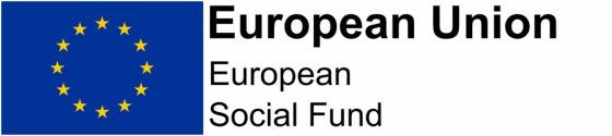 European Union Logo - Board Advisor Support - Jane Fisher Management Consultancy, Leadership, Change Management