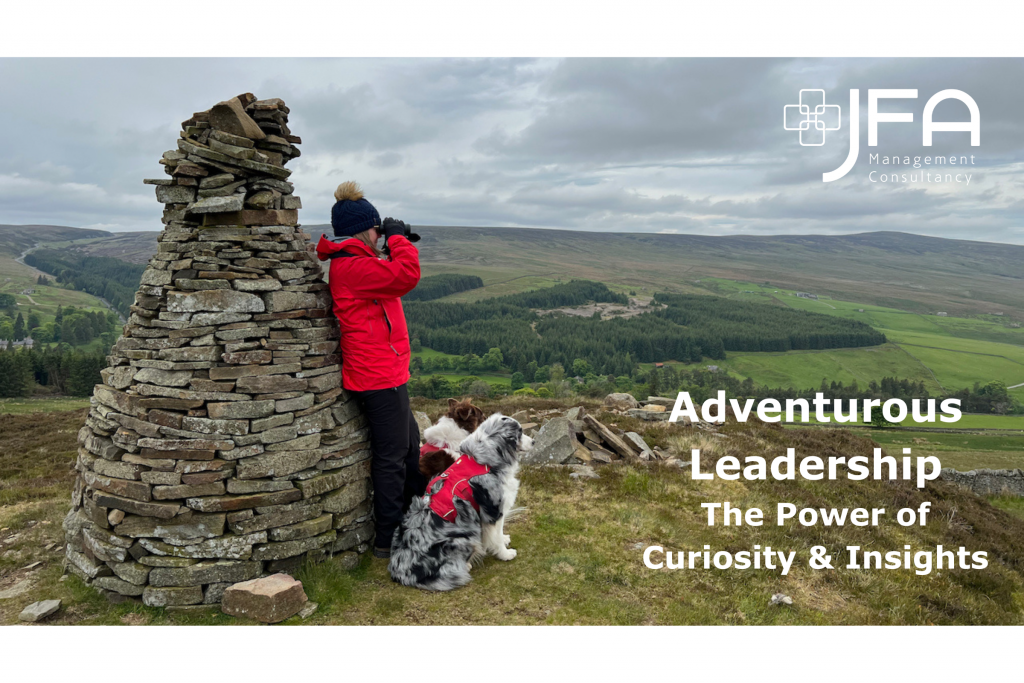 Adventurous Leadership: The Power of Curiosity and Insights